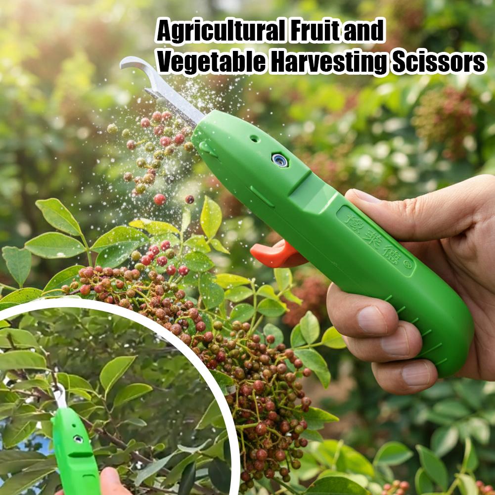Gardening Tools Scissors - Gunting Pangkas untuk Berkebun Alat Pertanian