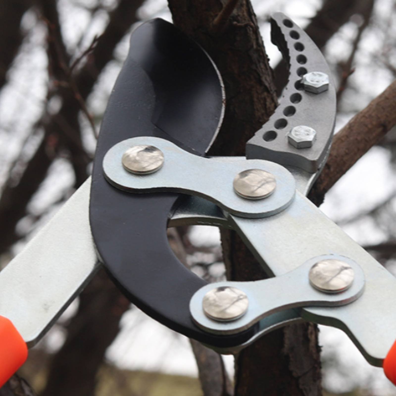 Gardening Tools - Pemangkas Cabang Teleskopik Pisau Tajam Pemangkas