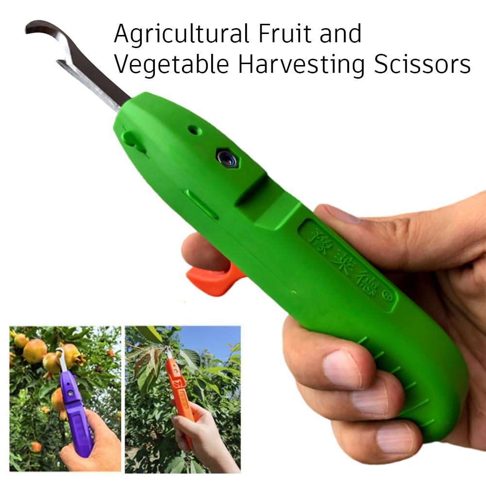 Gunting Pangkas untuk Berkebun - Gardening Tools Scissors ulasan dan harga