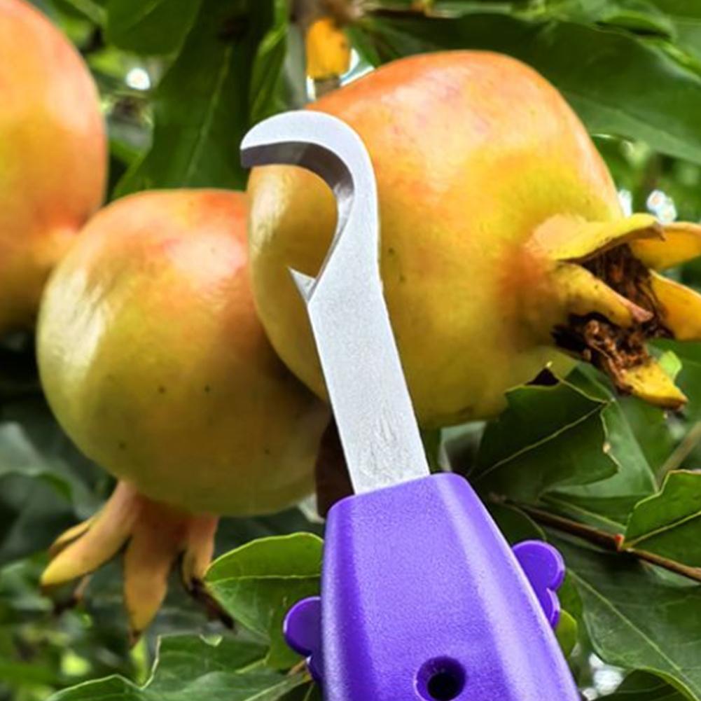 Gunting Pangkas untuk Berkebun - Gardening Tools Scissors ulasan dan harga