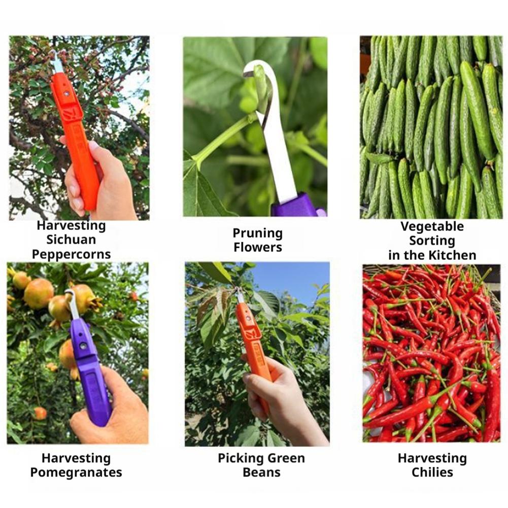 Gunting Pangkas untuk Berkebun - Gardening Tools Scissors ulasan dan harga