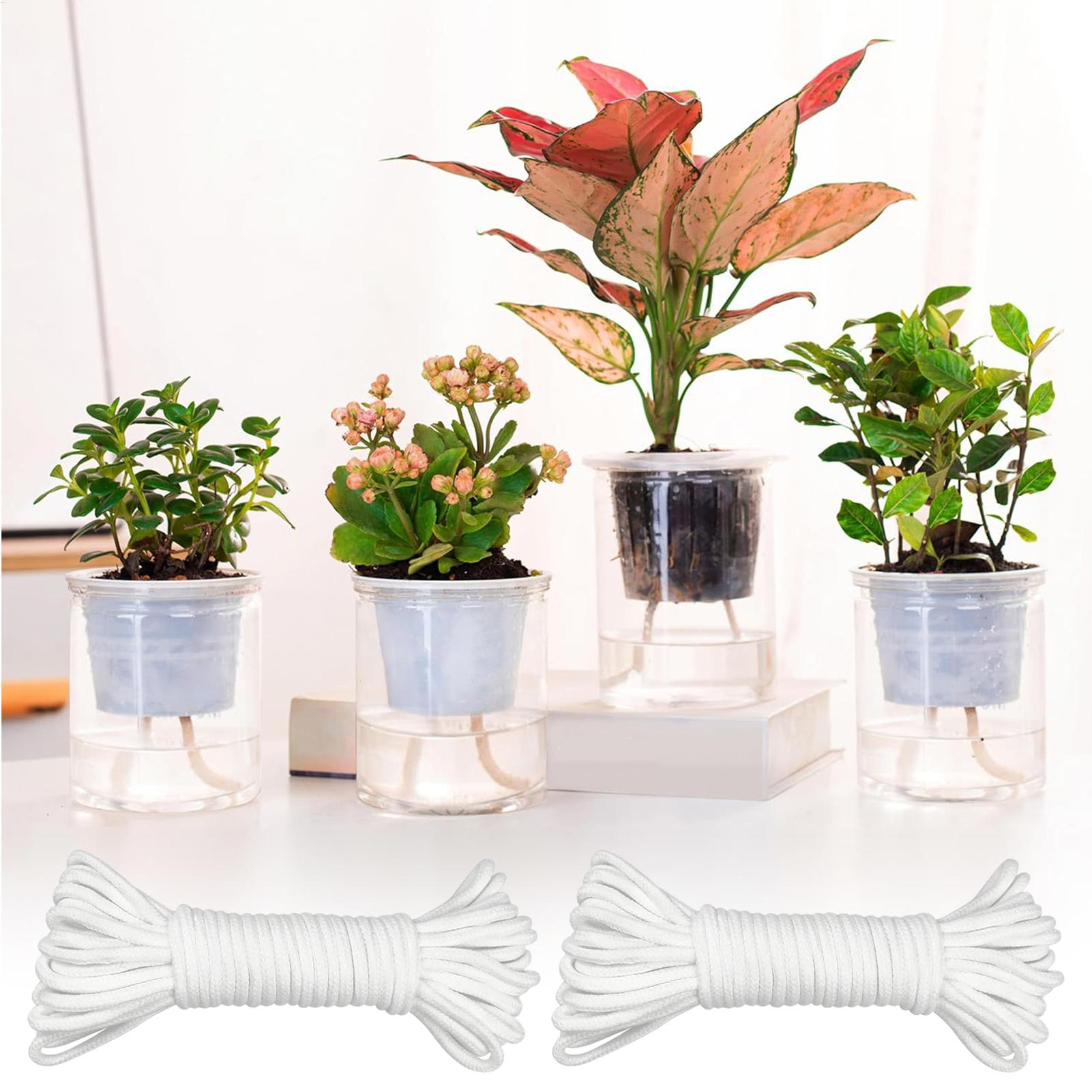 Tali Penyiraman Otomatis 2-Pie - Self-Watering Planter ulasan dan harga