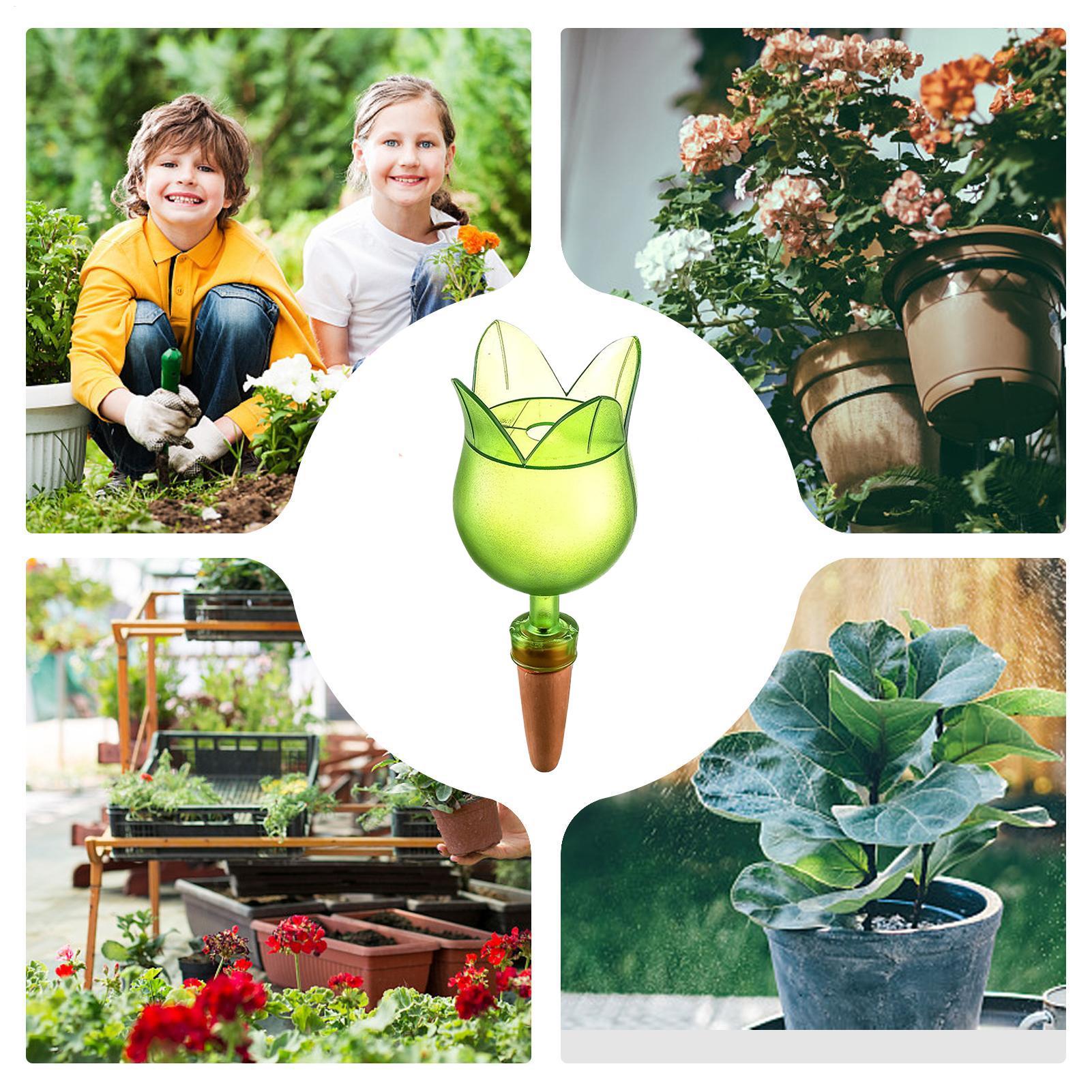 Sistem Irigasi Tetes Otomatis  - Self-Watering Planter ulasan dan harga