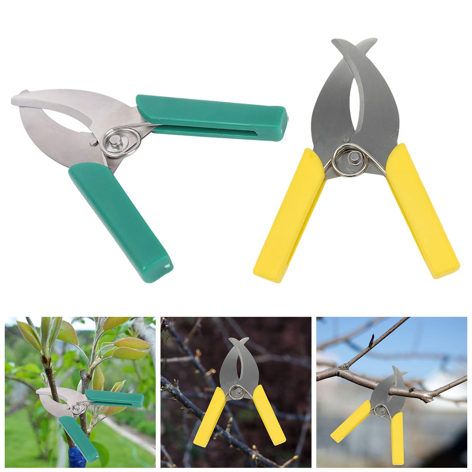 Gunting Pemotong Gonggongan Ci - Gardening Tools Scissors ulasan dan harga
