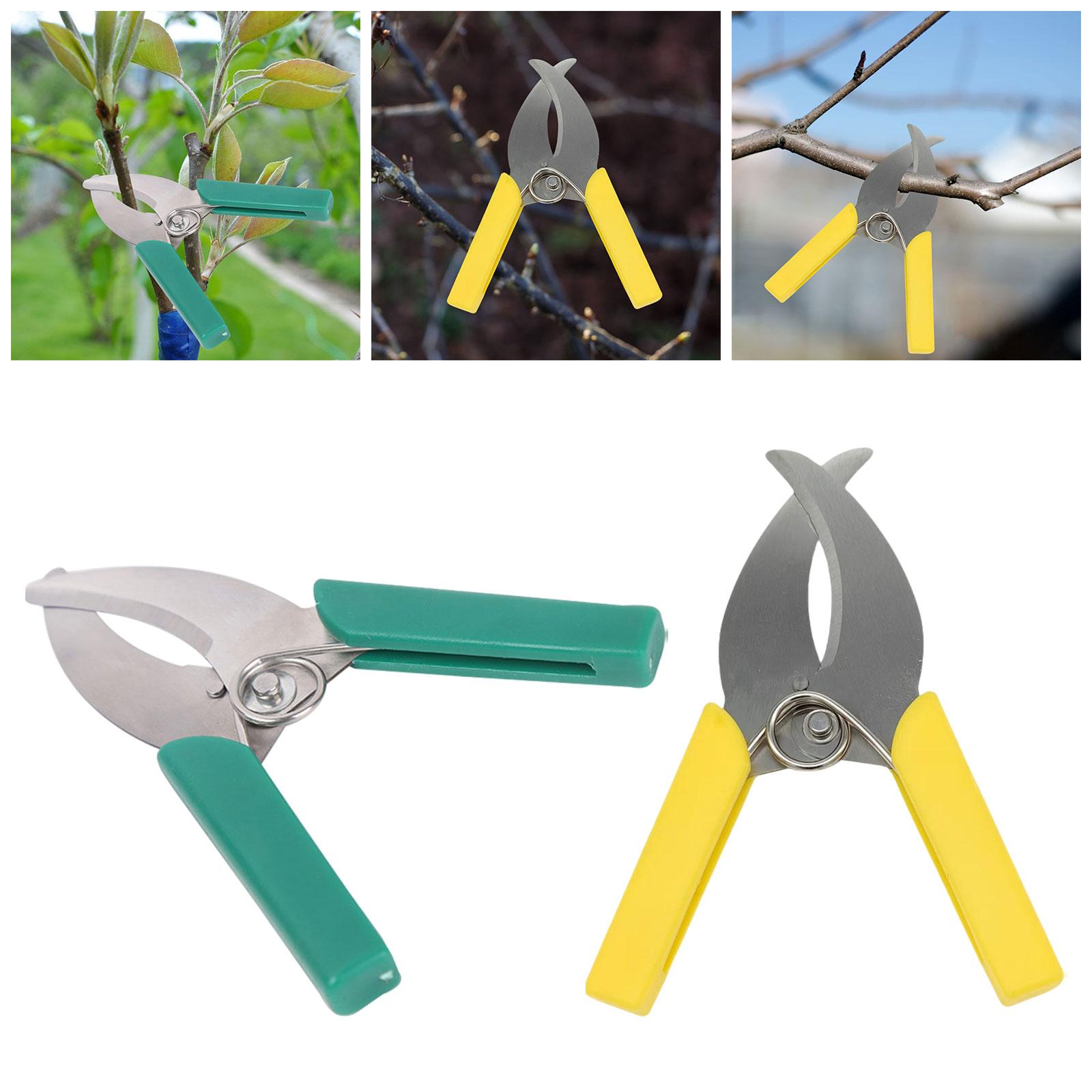 Gunting Pemotong Gonggongan Ci - Gardening Tools Scissors ulasan dan harga