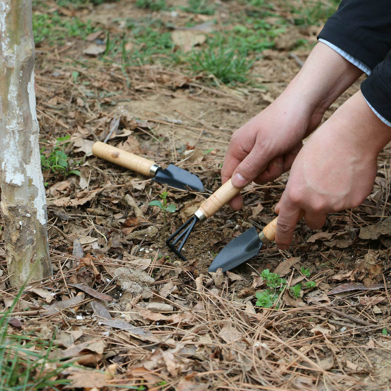 Set Alat Berkebun Mini 3 Buah/ - Gardening Tools For Digging ulasan dan harga