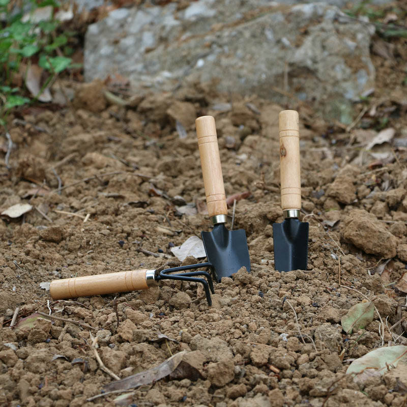 Set Alat Berkebun Mini 3 Buah/ - Gardening Tools For Digging ulasan dan harga