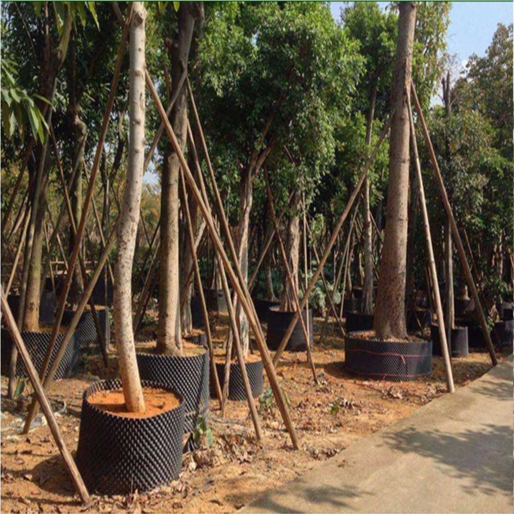 Alat Transplantasi Tanaman Bon - Gardening Tools ulasan dan harga