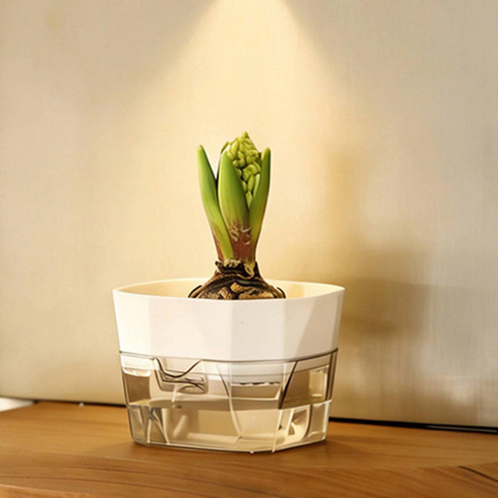 Vas Hidroponik Dua Lapis Penye - Self-Watering Planter ulasan dan harga