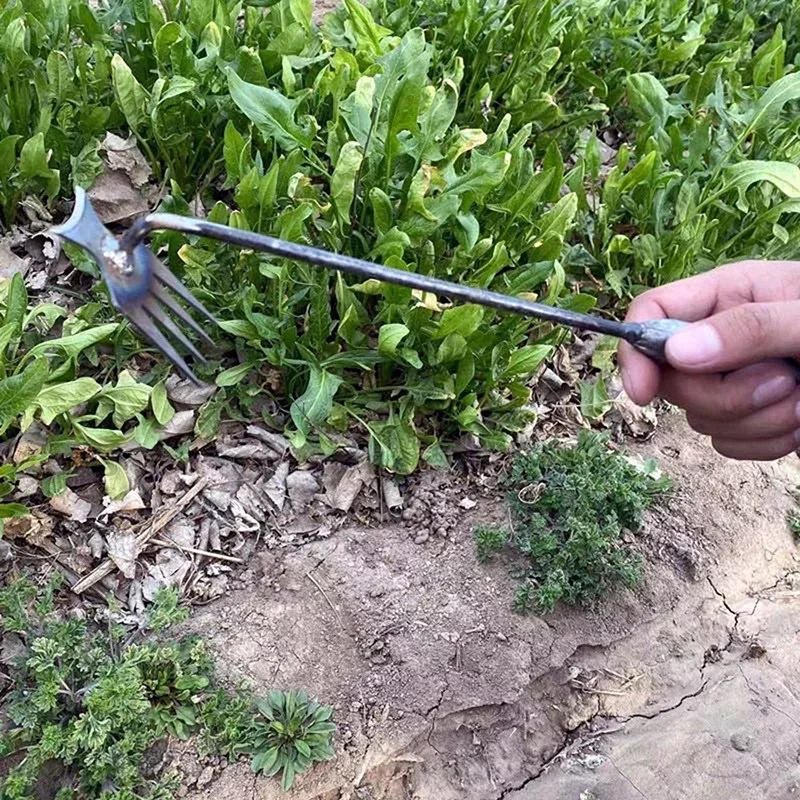 Penyiang Rumput Tangan, Penyia - Gardening Tools To Remove Weeds ulasan dan harga