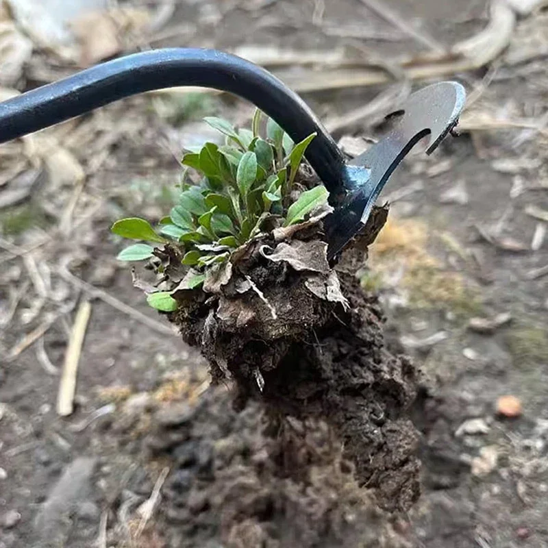 Penyiang Rumput Tangan, Penyia - Gardening Tools To Remove Weeds ulasan dan harga