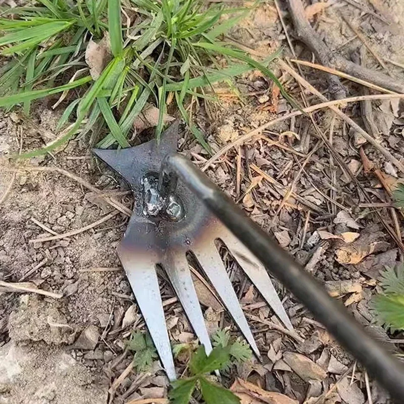 Penyiang Rumput Tangan, Penyia - Gardening Tools To Remove Weeds ulasan dan harga