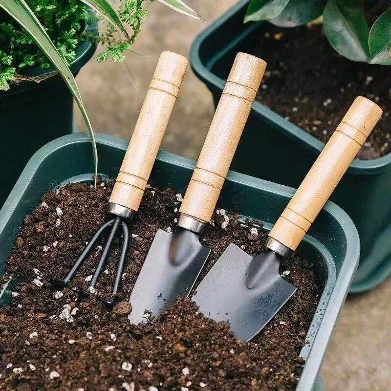 3 Buah/1Set Alat Berkebun Mini - Gardening Tools For Digging ulasan dan harga