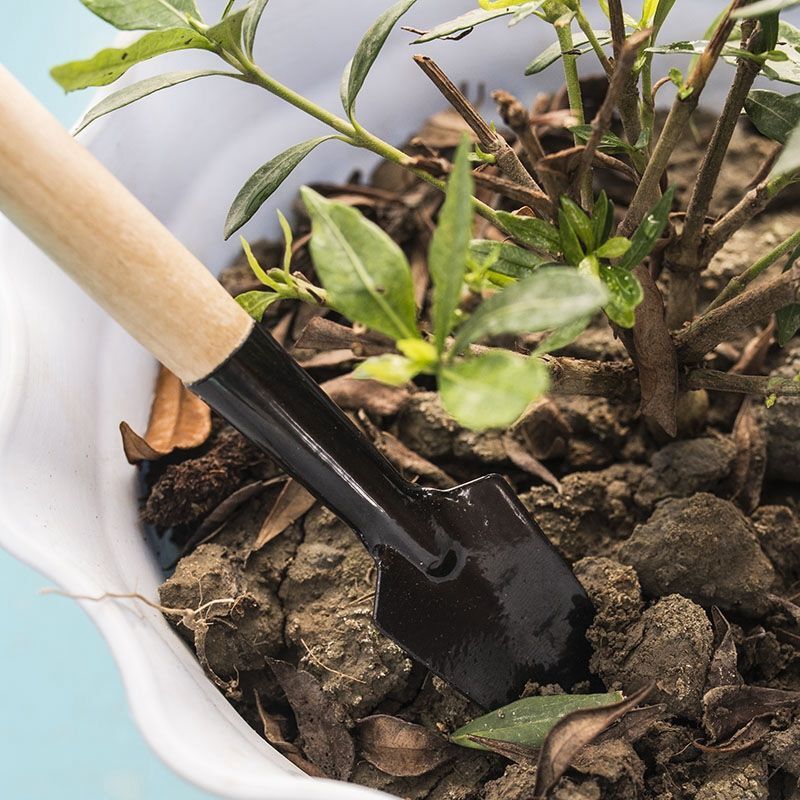 3 Buah/1Set Alat Berkebun Mini - Gardening Tools For Digging ulasan dan harga