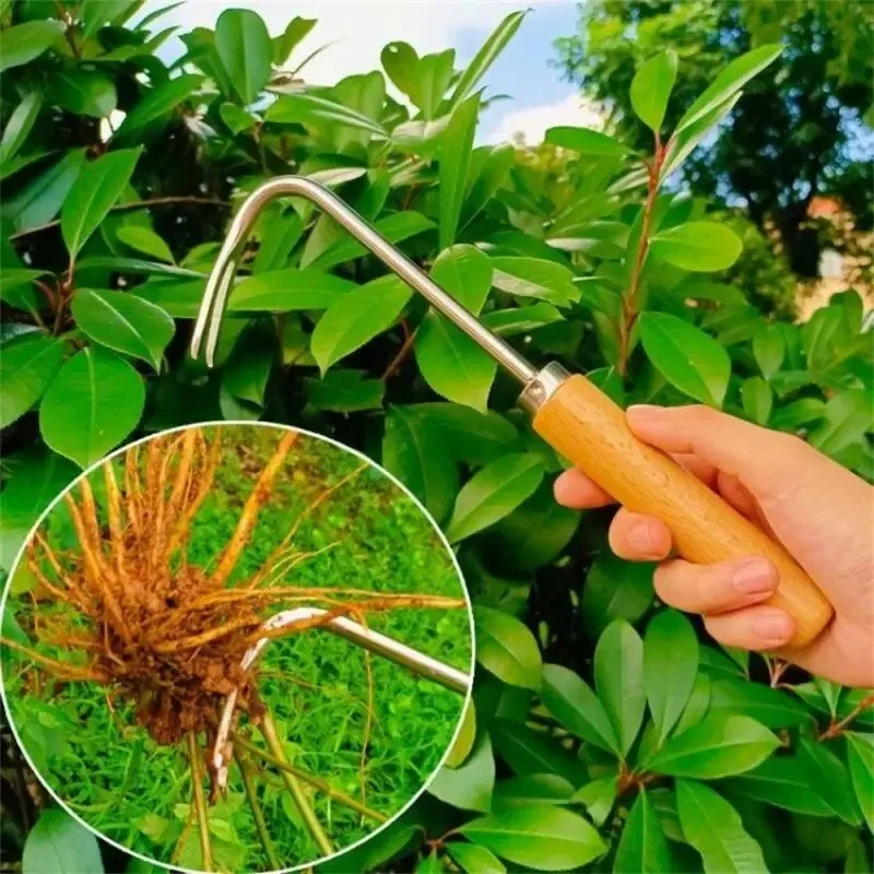 Alat pelepas tanah Stainless S - Gardening Tools To Remove Weeds ulasan dan harga