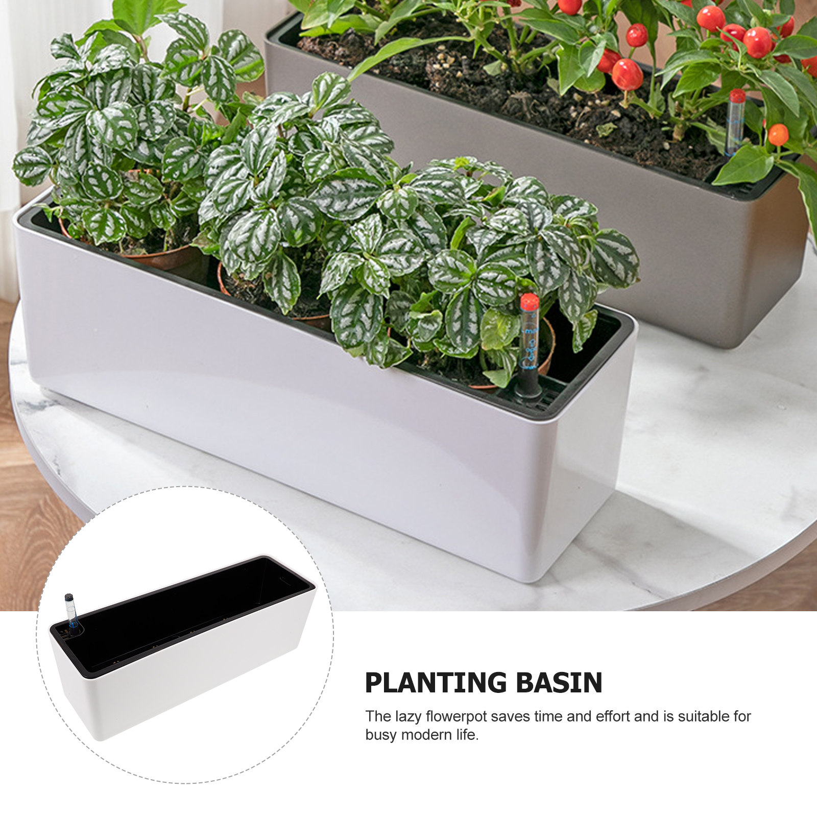 1Set Pot Tanaman Plastik Tepi  - Self-Watering Planter ulasan dan harga