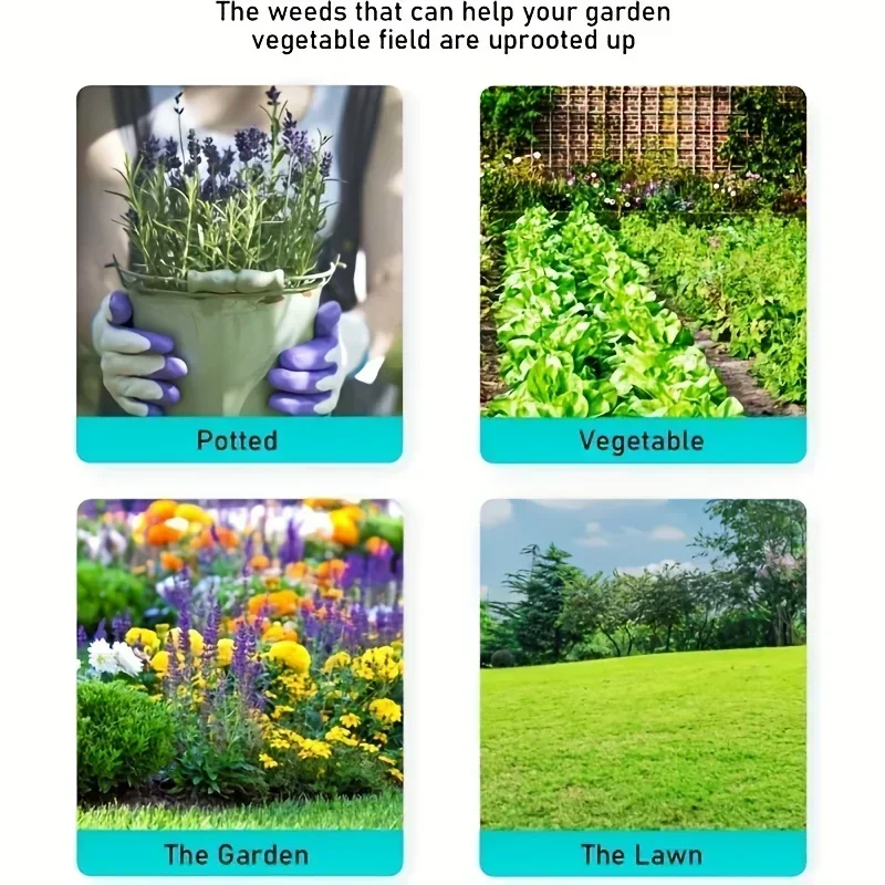 Hitam Penyiangan Kepala Pengga - Gardening Tools For Digging ulasan dan harga