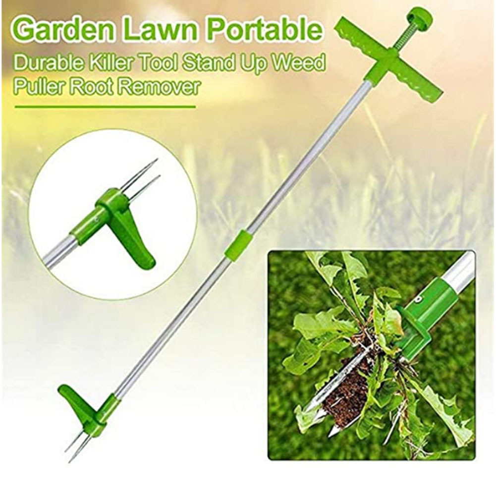 Alat pembunuh manual tahan lam - Gardening Tools To Remove Weeds ulasan dan harga