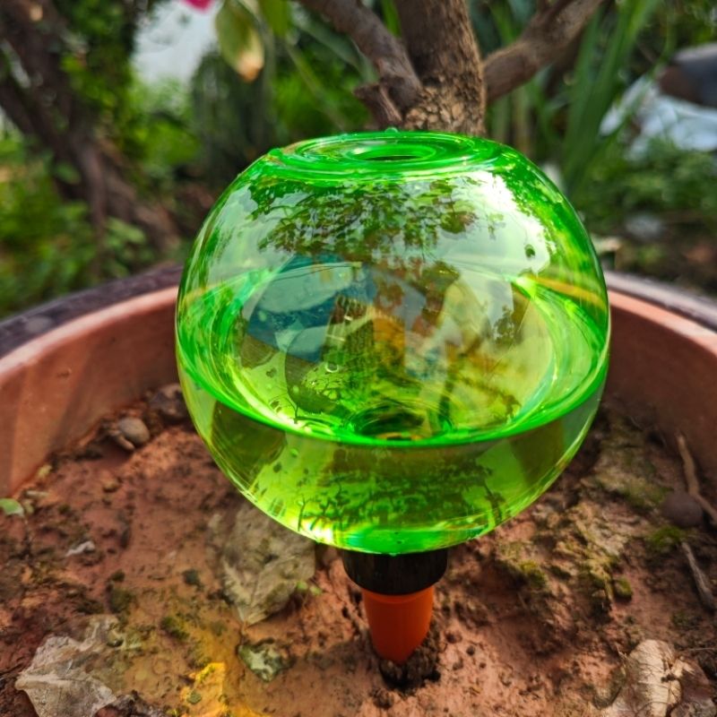 3pcs Bola Penyiram Tanaman Bes - Self-Watering Planter ulasan dan harga