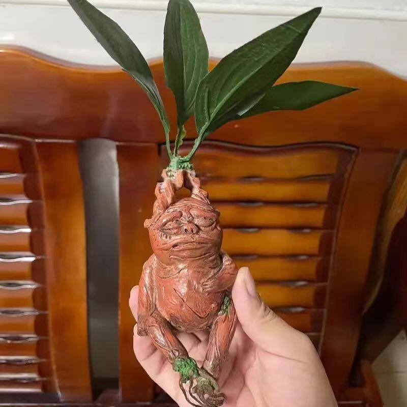 Ornamen Resin Mandrake, Dekora - Gardening Tools Amazon ulasan dan harga