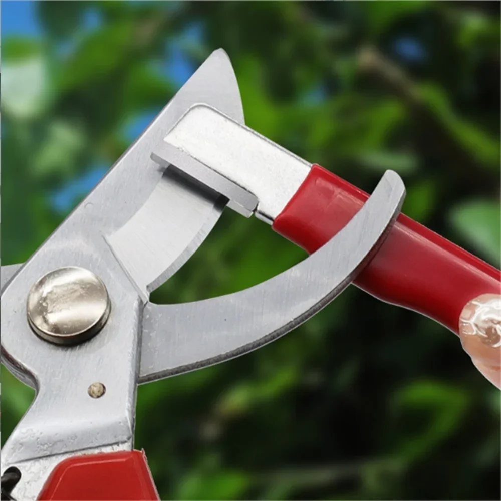 Pengasah Pisau Portabel Multif - Gardening Tools Scissors ulasan dan harga