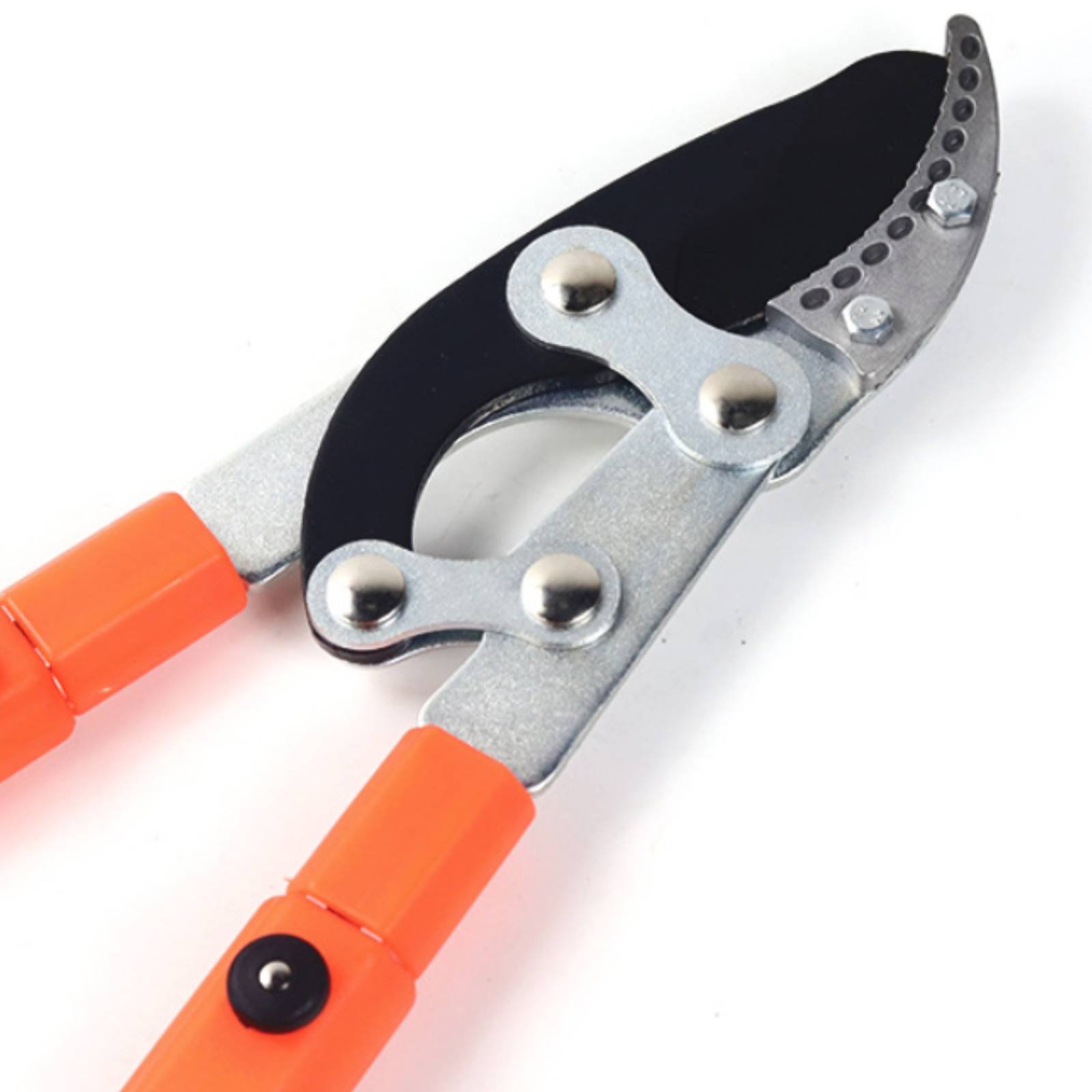 Pemangkas Cabang Teleskopik Pi - Gardening Tools ulasan dan harga