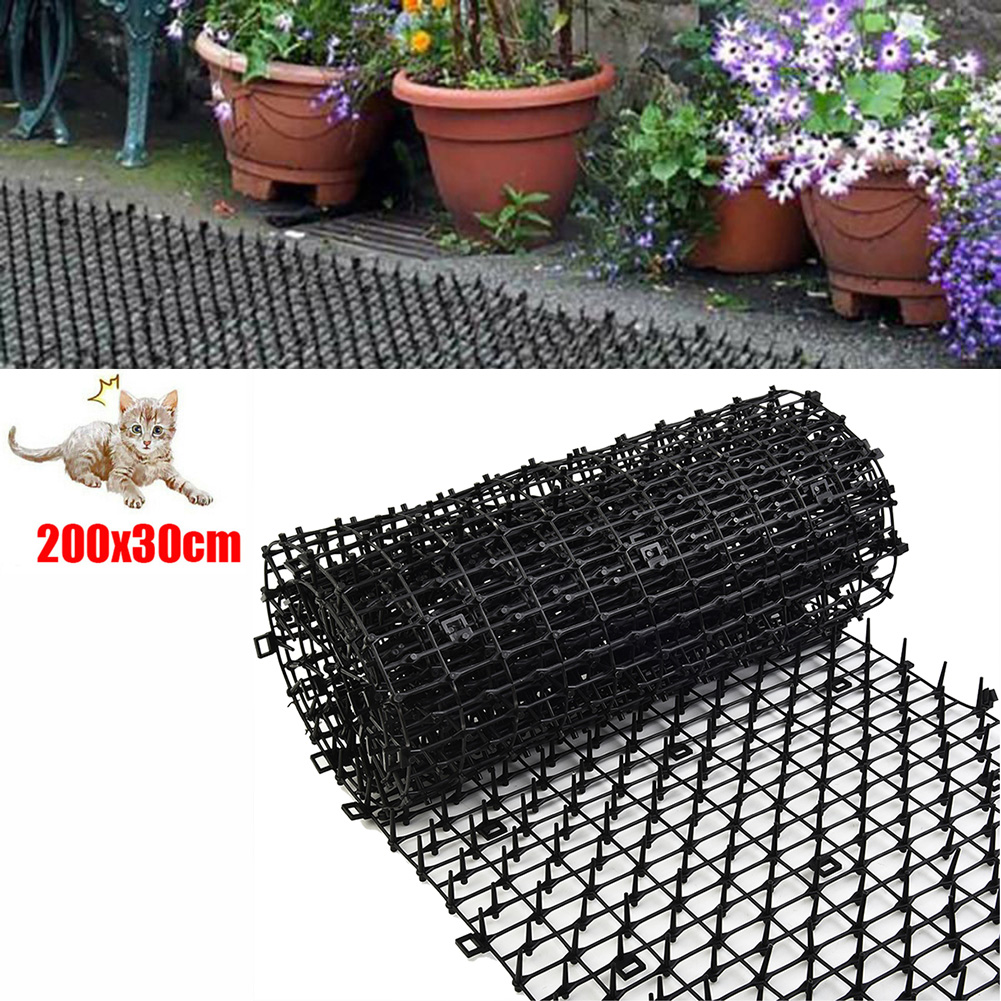 2M alas gosok hewan hama berke - Gardening Tools For Digging ulasan dan harga