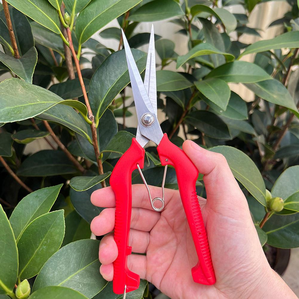 Gunting Pangkas Taman Pro Gard - Gardening Tools Scissors ulasan dan harga