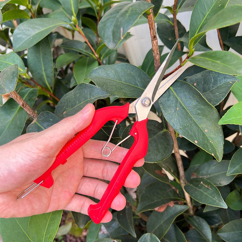 Gunting Pangkas Taman Pro Gard - Gardening Tools Scissors ulasan dan harga