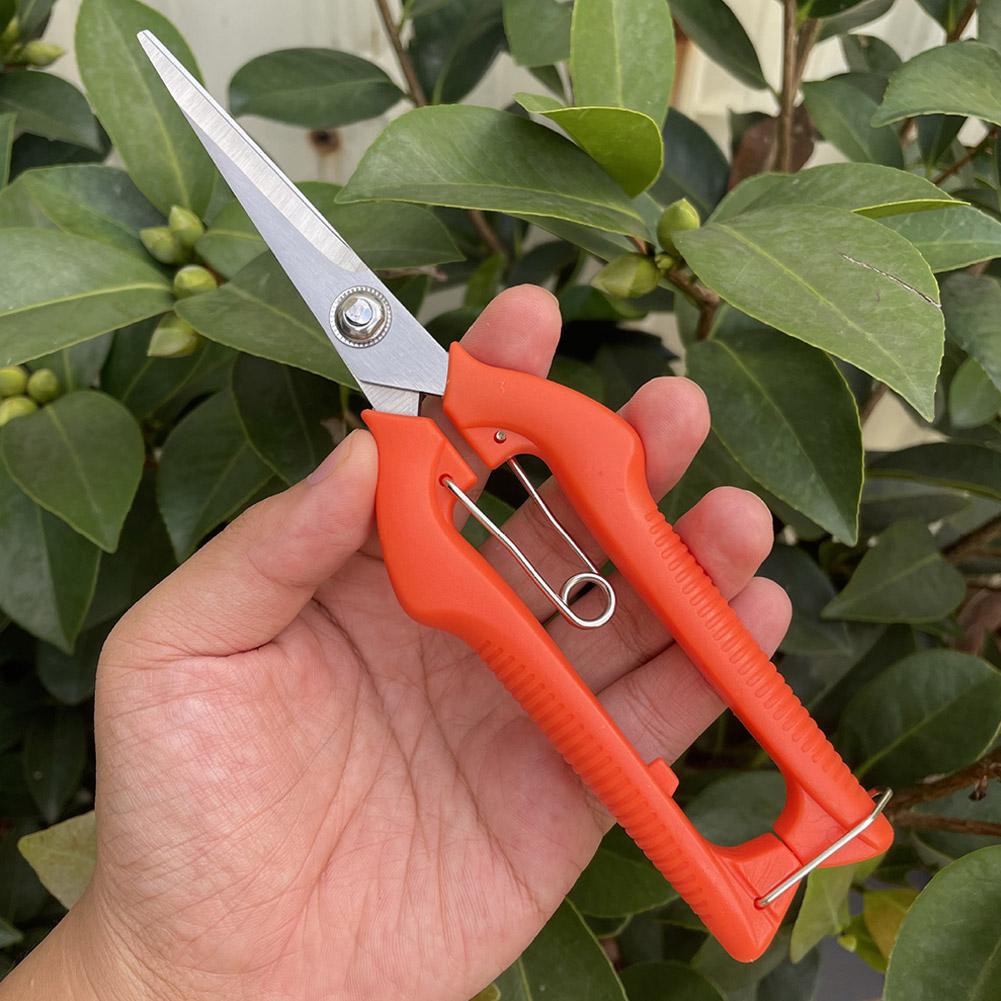 Gunting Pangkas Taman Pro Gard - Gardening Tools Scissors ulasan dan harga