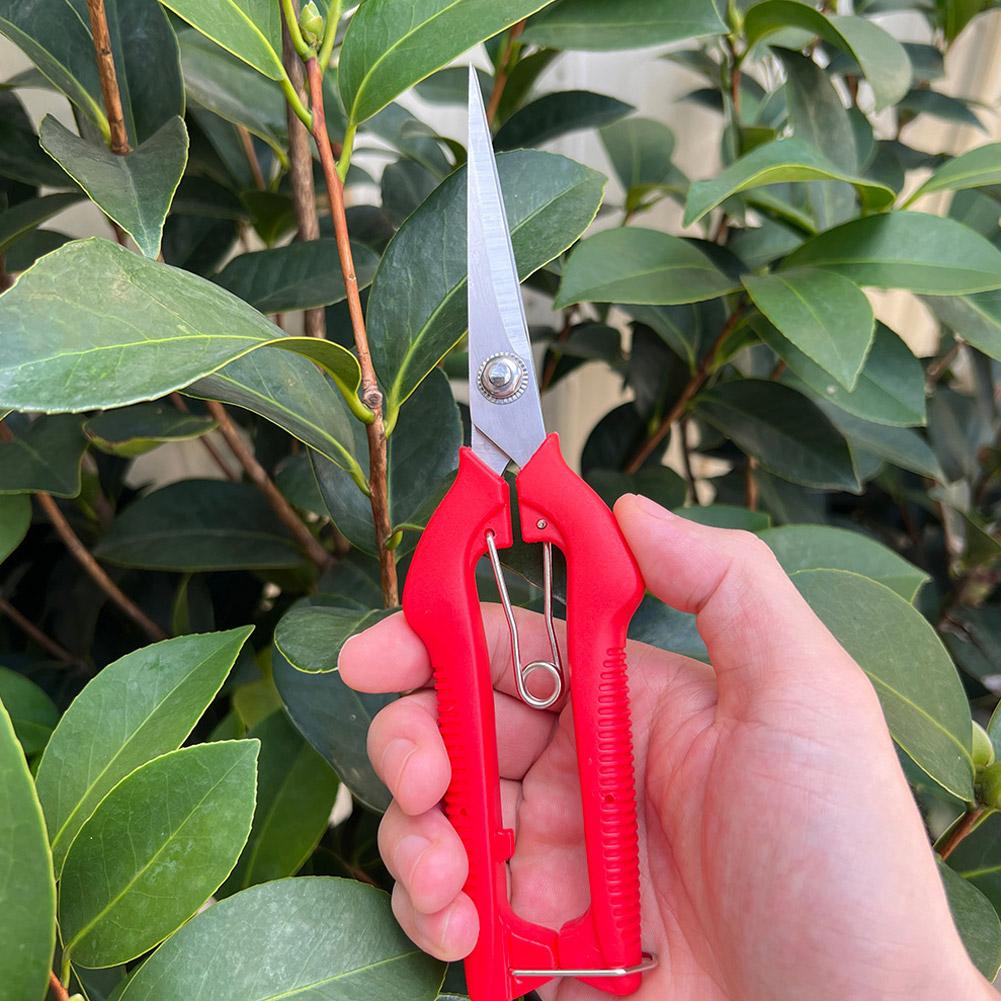 Gunting Pangkas Taman Pro Gard - Gardening Tools Scissors ulasan dan harga