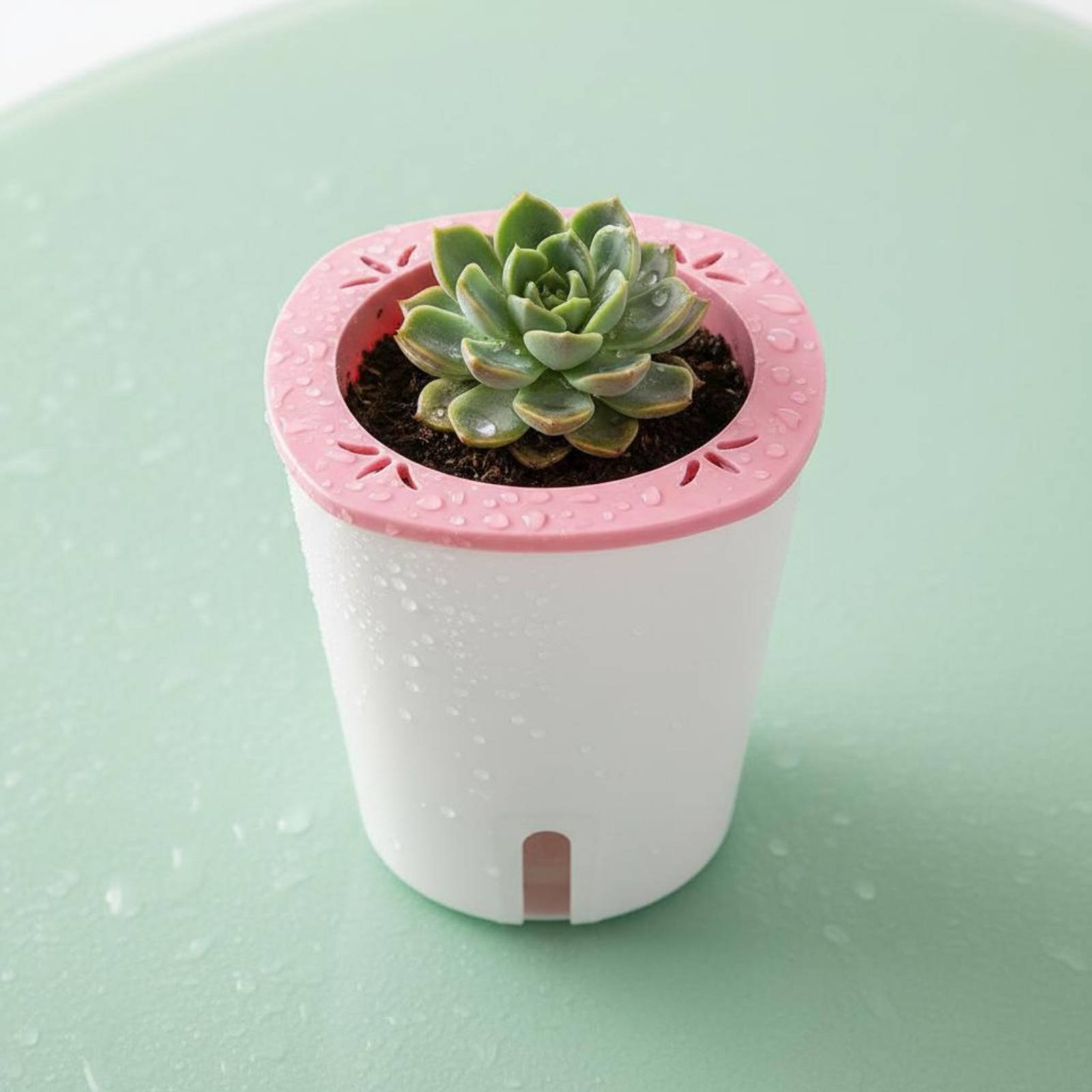 Pot Penyiram Otomatis Ukuran B - Self-Watering Planter ulasan dan harga