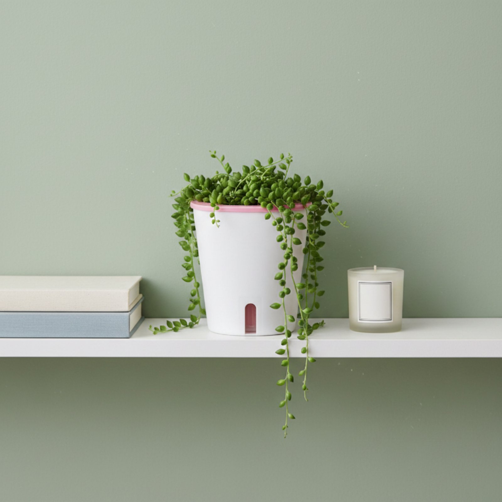 Pot Penyiram Otomatis Ukuran B - Self-Watering Planter ulasan dan harga