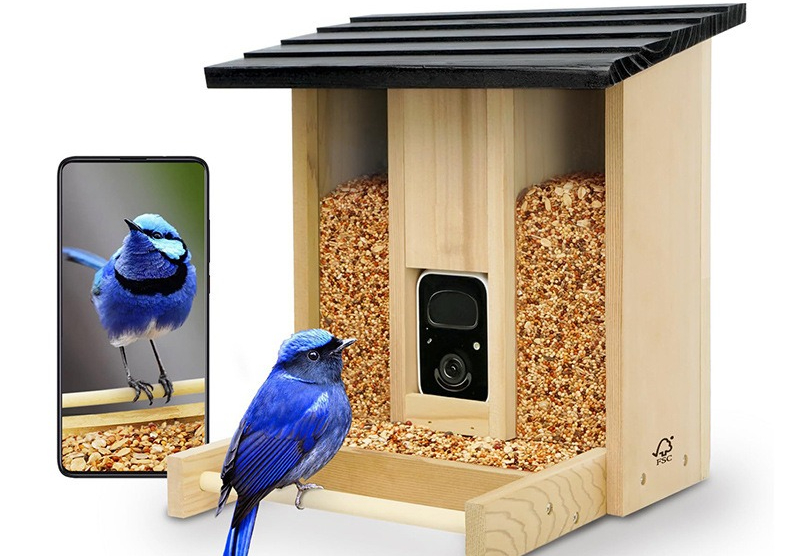 Tempat makan burung pintar dar - Gardening Tools Definition ulasan dan harga