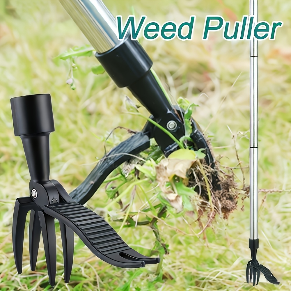 1 Buah Penghilang Gulma Vertik - Gardening Tools To Remove Weeds ulasan dan harga
