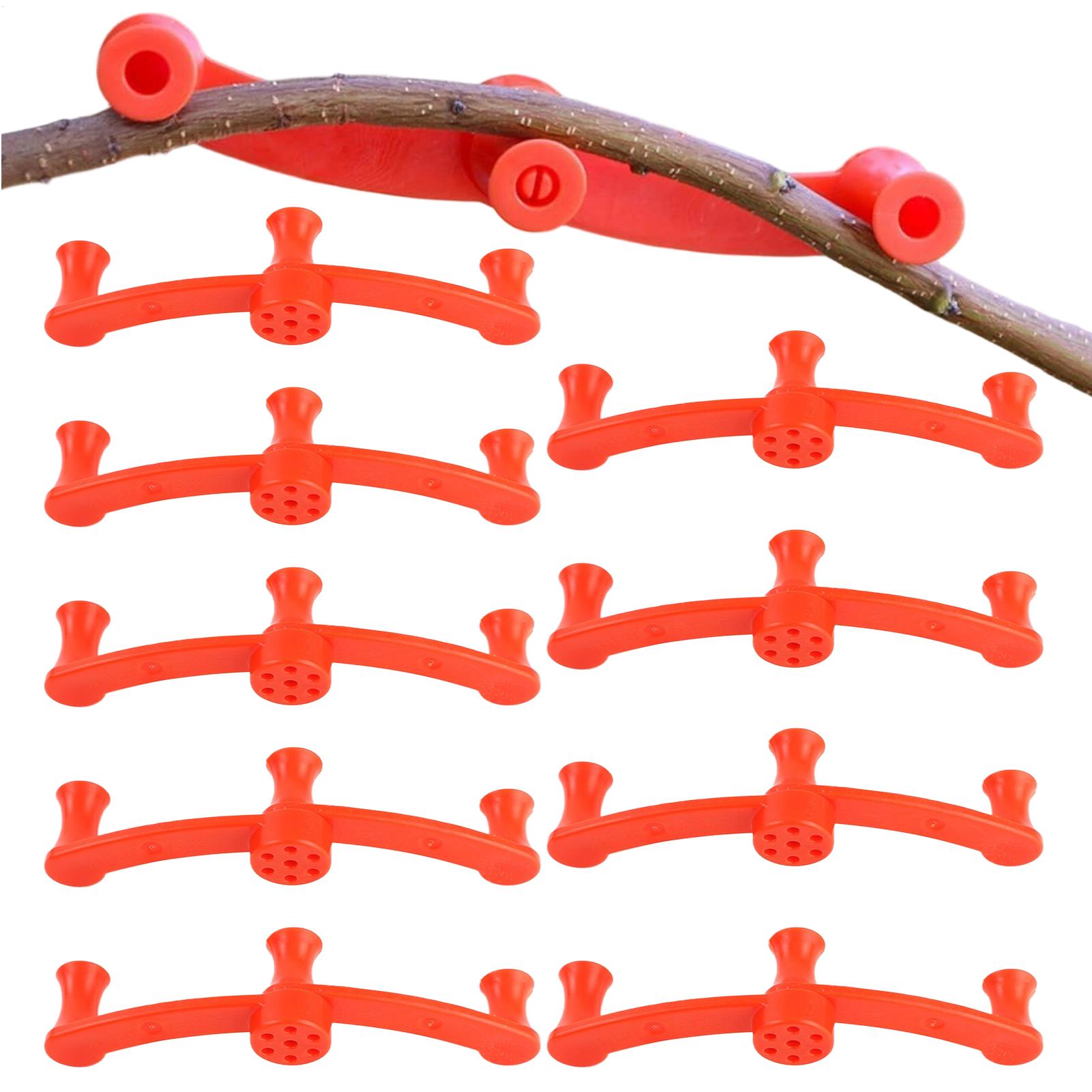 10pcs Klip Pelatihan Tanaman P - Gardening Tools Lowes ulasan dan harga