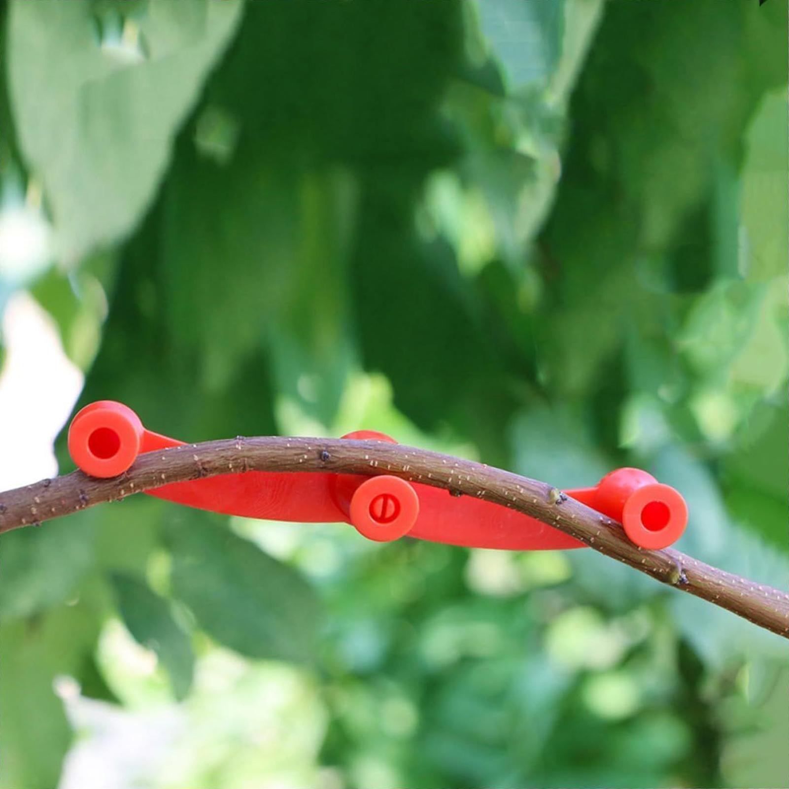 10pcs Klip Pelatihan Tanaman P - Gardening Tools Lowes ulasan dan harga